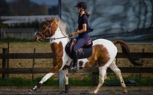 horseback riding socks